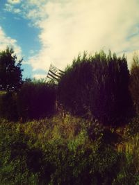 Trees on field against cloudy sky