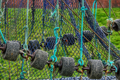 Close-up of monkey in cage