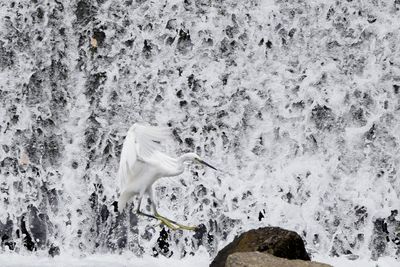 White water splashing on rock