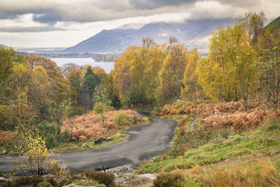 Road by trees against sky during autumn