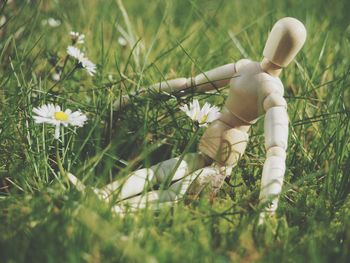 Figurine on grassy field