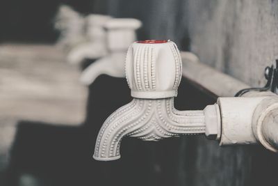 Close-up of plant against blurred background