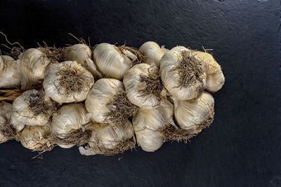 Close-up of garlic