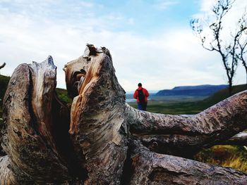 Close-up of driftwood with man standing in background against sky