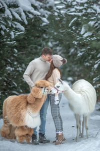 Horse standing on snow
