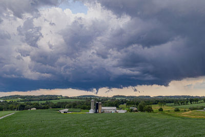 Scenic view of field against sky