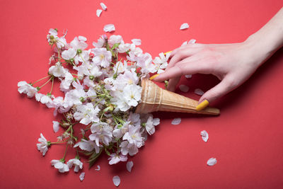Close-up of hand holding red roses