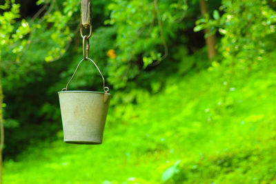 Close-up of swing hanging on tree