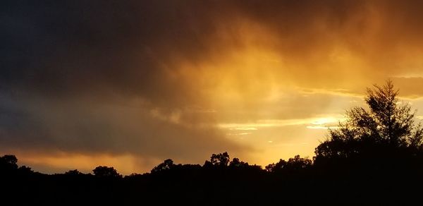 Low angle view of silhouette trees against dramatic sky