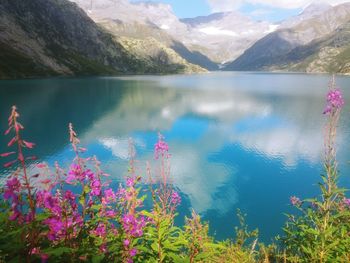 Scenic view of lake by mountains