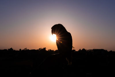 Silhouette woman standing against sky during sunset