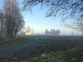 Bare trees on field against sky during winter