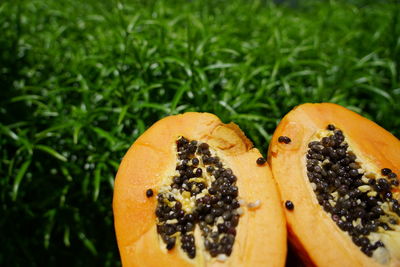 Close-up of orange slice