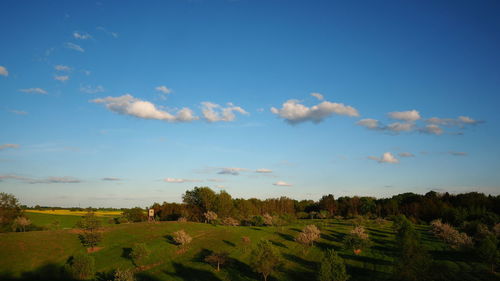 Scenic view of field against sky