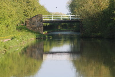 Bridge over lake