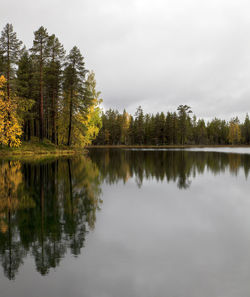 Reflection of trees in lake against sky