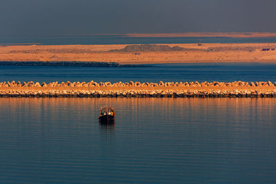 Fishing boat in the persian gulf off dubai