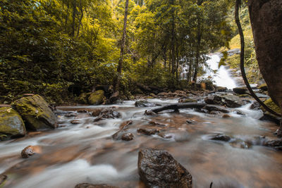 Stream flowing through rocks in forest