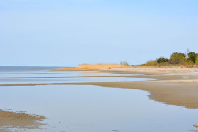 Scenic view of beach against clear sky