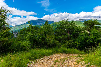 Scenic view of trees and mountains against sky