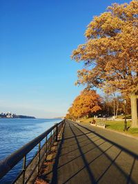 Close-up of railing by trees against clear sky