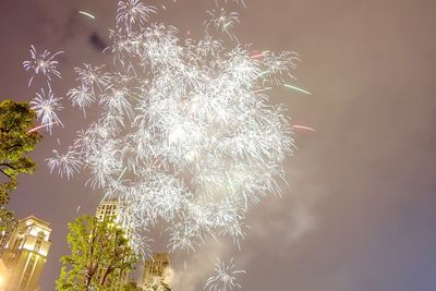 Low angle view of tree against sky