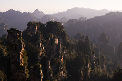 View of trees with mountain range in background