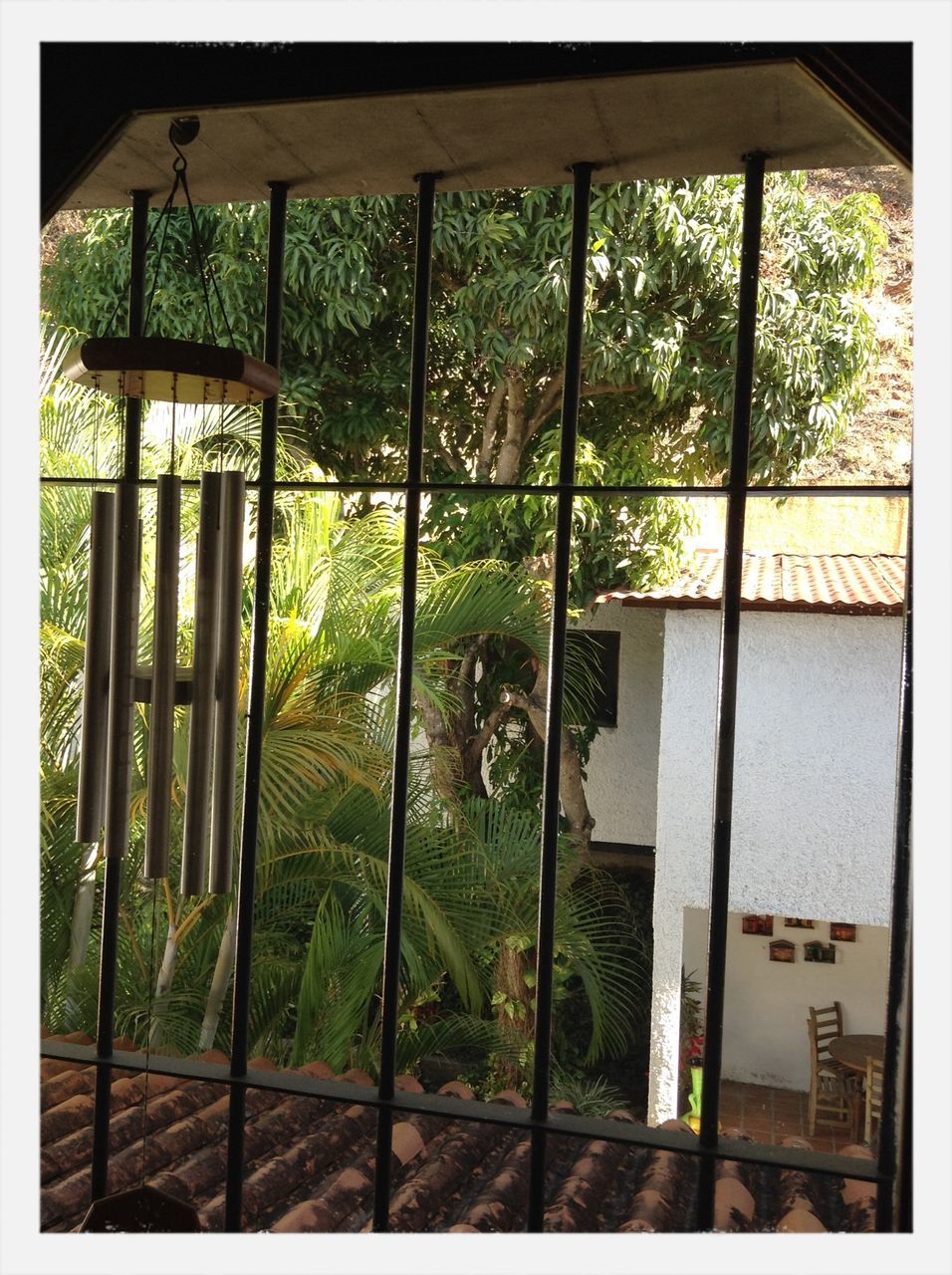 window, fence, glass - material, safety, closed, protection, indoors, green color, metal, built structure, security, tree, grass, house, transparent, door, architecture, transfer print, day, metal grate