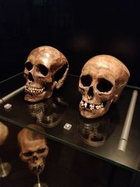 Close-up of human skull
