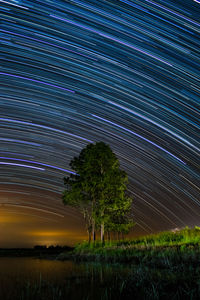 Trees on field against star trail at night