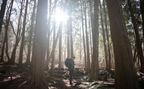 Man standing by trees in forest