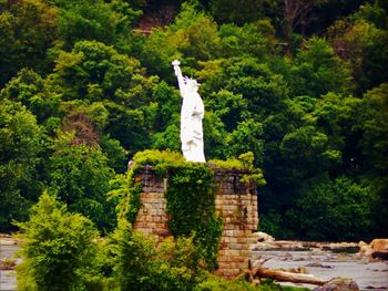 Buddha statue in temple