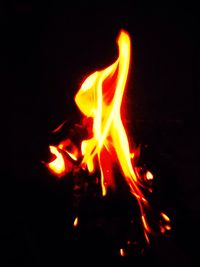 Close-up of bonfire at night