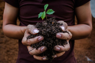 Midsection of woman holding plants outdoors