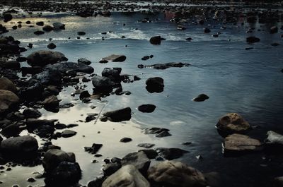 High angle view of rocks at beach