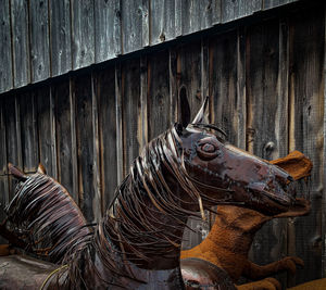 Close-up of animal sculpture on wall