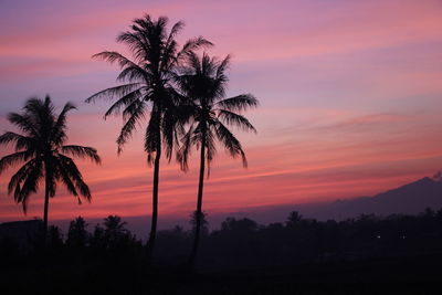 Silhouette palm trees against romantic sky at sunset