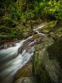 Scenic view of waterfall
