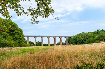 Arch bridge on field against sky