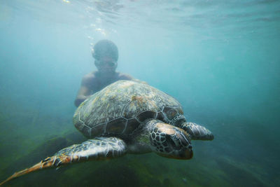 Young man swimming with turtle undersea
