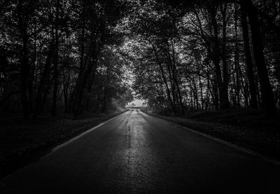 Road amidst trees in forest