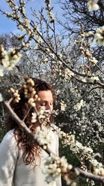 Low angle view of cherry blossom