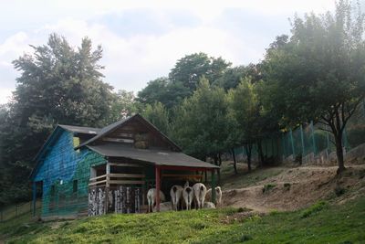 House amidst trees and plants on field against sky