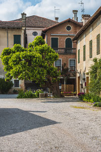 Street by buildings in town