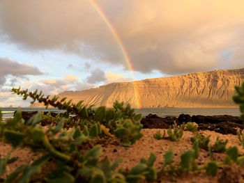 Scenic view of rainbow over land against sky