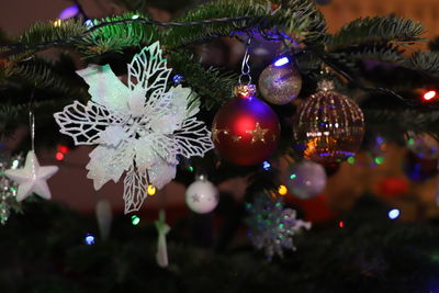 Close-up of christmas tree