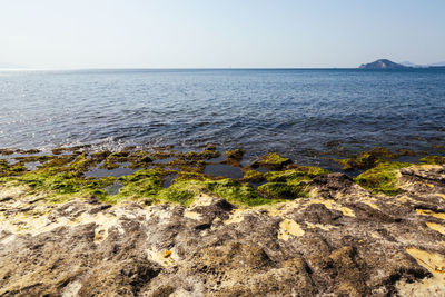Scenic view of sea against clear sky