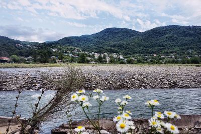 Scenic view of lake with mountains in background