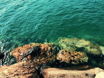 High angle view of rocks in sea