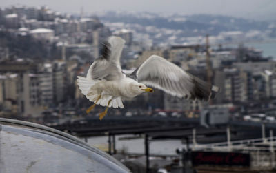 flying